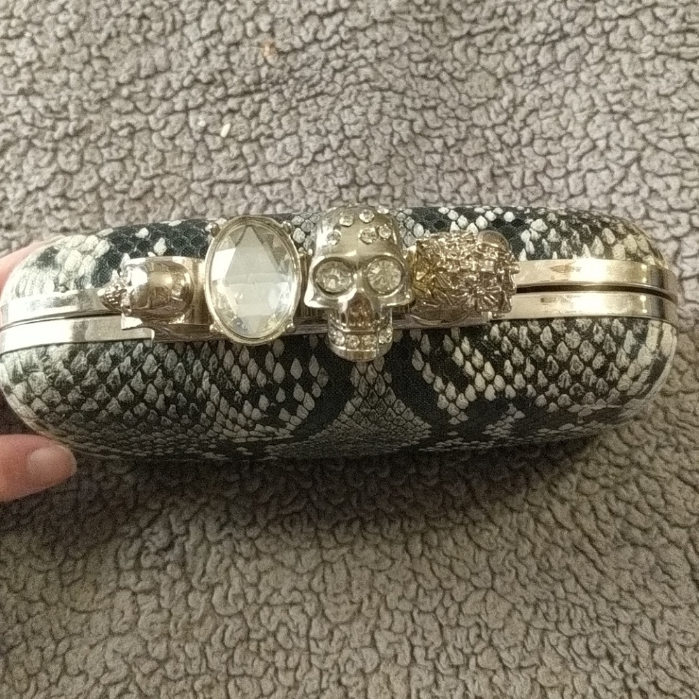 Fake snake skin clutch